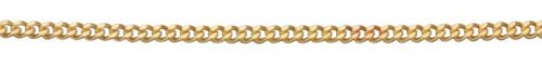 Gecko - 9CT, Yellow Gold CURB CHAIN GN004