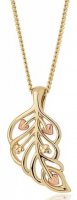 Clogau - Debutante , Yellow Gold 9ct Feather Necklace - DBFP