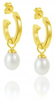 Claudia Bradby - Biography, Pearl Set, Yellow Gold Plated - Hoop Earrings CBEH0024GP
