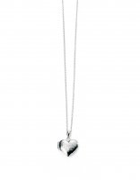 Gecko - Elements, Silver Hammered Heart Locket and Chain N3924