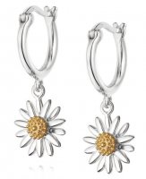 Daisy - English Daisy, Sterling Silver - Drop Earrings, Size 10mm E2007