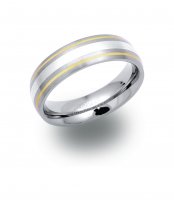 Unique - Titanium, Silver and 14ct Yellow Gold Ring, Size 68 - TR50