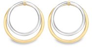 Guest and Philips - White Gold 9ct Hoop Earrings EA027