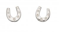 Gecko - Beginnings, Silver Horseshoe Earrings - A951