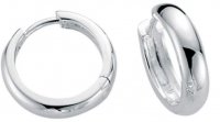 Gecko - Beginnings, Silver Hoop Earrings E3216