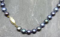 Guest and Philips - Freshwater Cultured Pearls Set, Yellow Gold - Uniform Pearl Row, Size 6.0-6.5mm L= 460mm - SP10