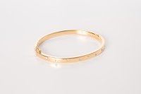 Guest and Philips - Yellow Gold Plated Bangle 5MMFLAT