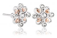 Clogau - Tree Of Life, Sterling Silver Stud Earrings