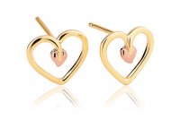 Clogau - Tree of Life, Yellow Gold Earrings