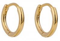 Gecko - Beginnings, Yellow Gold Plated - Sterling Silver - Hoop Earrings, Size 12mm E6351