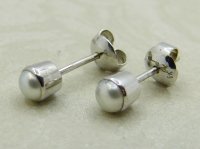 Guest and Philips - Pearl Set, White Gold - 9ct Stud Earrings STO1PLWG