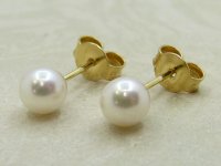 Guest and Philips - FW Pearl Set, Yellow Gold - 9ct Stud Earring, Size 5.5-6mm ST556
