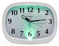 Guest and Philips - Hometime, Plastic/Silicone Oval Alarm Clock 5334W