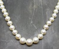 Guest and Philips - Fresh Water Pearl Sterling Silver Necklace - 38183