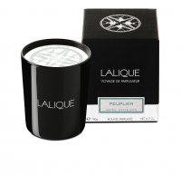 Lalique - Candle 190 GR Poplar Aspen, Candle 10357200