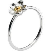 Kit Heath - Wood Rose, Sterling Silver with 18ct. Gold Plate Ring, Size L