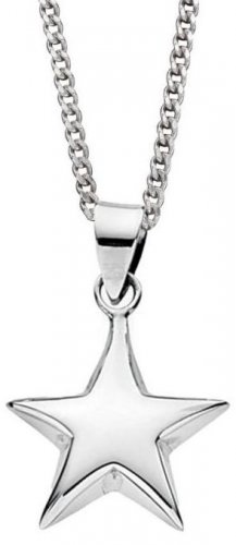 Gecko - Beginnings, Silver Star Pendant and Chain P2698