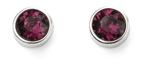 Gecko - Amethyst Set, Sterling Silver - Stud Earrings E5560