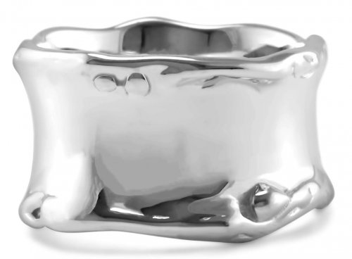 Banyan - Sterling Silver Ring RI4019Q00