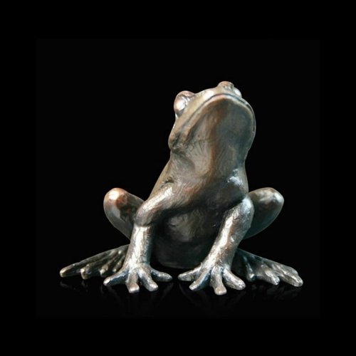 Richard Cooper - Small Frog Alert, Bronze  918