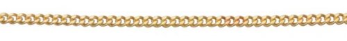 Gecko - 9CT, Yellow Gold CURB CHAIN GN004
