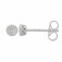 Guest and Philips - Diamond Set, White Gold - 9ct 20pt Stud Earrings 09EASD84223