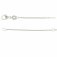 Guest and Philips - Fine Rolo, Platinum - Fine Chain, Size 18-20