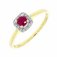 Guest and Philips - D 6pt 16st Ruby Set, Yellow Gold - White Gold - 9ct Ring 09RIDG86089