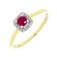 Guest and Philips - Ruby Set, Yellow Gold - White Gold - 9ct R 1st D 6pt 16st Ring 09RIDG86089