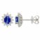 Guest and Philips - Sapphire Set, Platinum - D 33pt 24st Cel Sapp Stud Earrings PLEASG86439