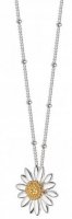 Daisy - English Daisy, Sterling Silver - Bobble Necklace, Size 15mm N2032